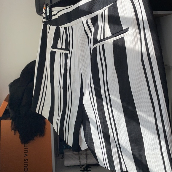 Theory Shorts - Picture 5 of 5